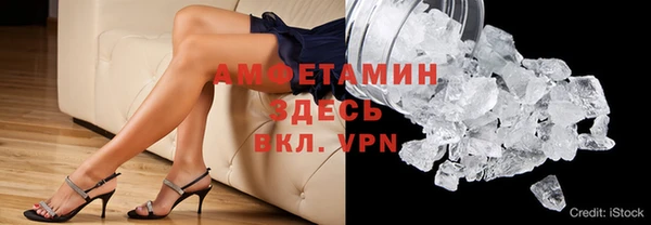 гидра Надым