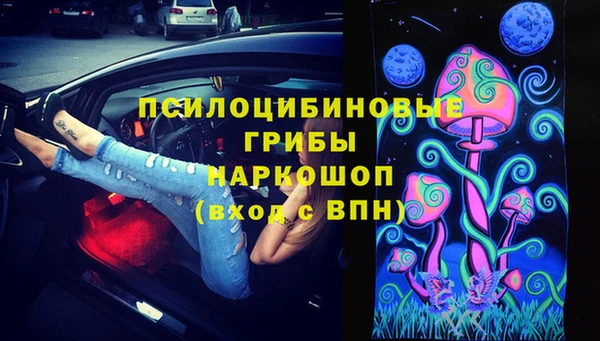 дмт Нея