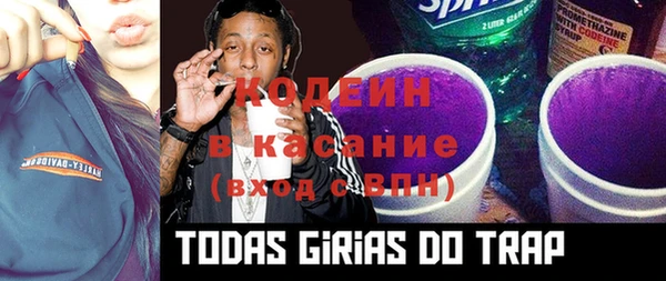 дмт Нея