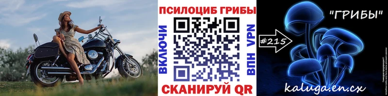 Псилоцибиновые грибы GOLDEN TEACHER  Кораблино 